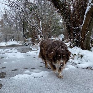 Meet your Posher, Naomi